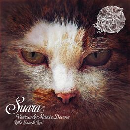 Album cover of The Sound EP