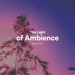 Album cover of The Light of Ambience