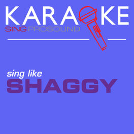Album cover of Karaoke in the Style of Shaggy