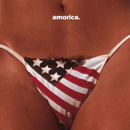 Album cover of Amorica.