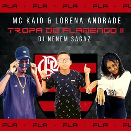 Album cover of Tropa do Flamengo 2 (Remix)