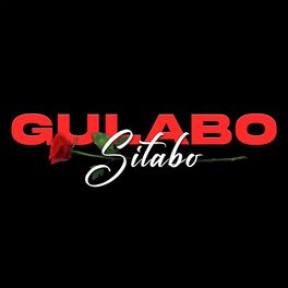Album cover of Gulabo Sitabo