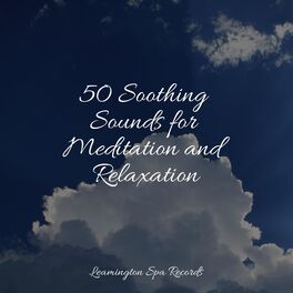Album cover of 50 Soothing Sounds for Meditation and Relaxation