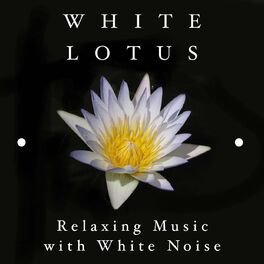 Album cover of White Lotus - Relaxing Music with White Noise