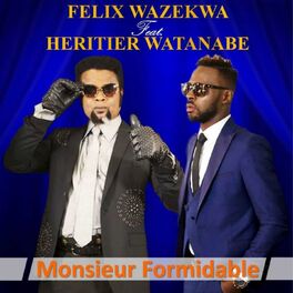 Album cover of Monsieur formidable