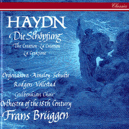 Album cover of Haydn: Die Schöpfung (The Creation)