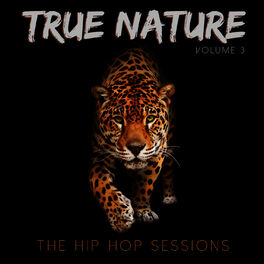 Album cover of True Nature: The Hip Hop Sessions, Vol. 3