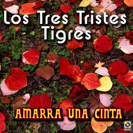 Album cover of Amarra Una Cinta