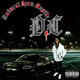 Album cover of Natural Born Hustla