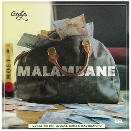 Album cover of Malambane