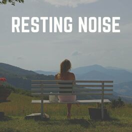 Album cover of Resting Noise