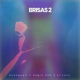 Album cover of Brisas 2