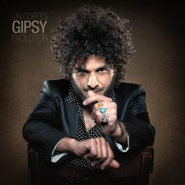 Album cover of Gipsy Evolution