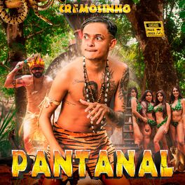 Album cover of Pantanal
