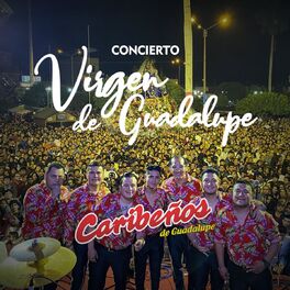 Album cover of Concierto Virgen de Guadalupe (En Vivo)