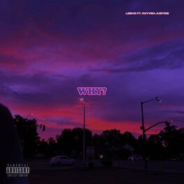 Album cover of Why? (feat. Rayven Justice)