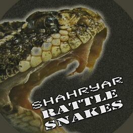 Album cover of Rattle Snakes - Single