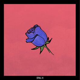 Album cover of Still II