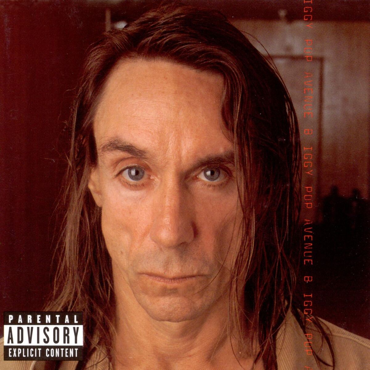 Iggy Pop: альбомы, песни, плейлисты | Слушайте на Deezer