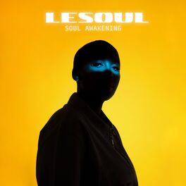 Album cover of Soul Awakening