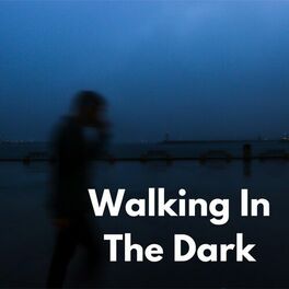 Album cover of Walking In The Dark
