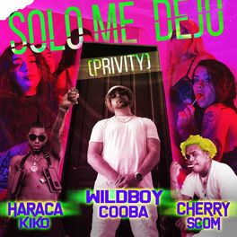 Album cover of Privity (Solo Me Dejo)