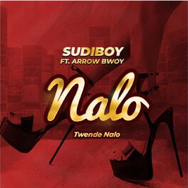 Album cover of Nalo/Twendenalo