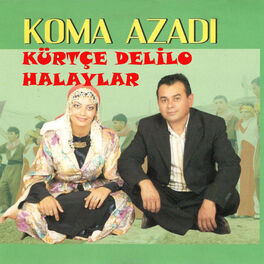 Album cover of Kürtçe Delilo Halaylar