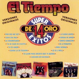 Album cover of 14 Super Exitos De Oro