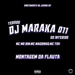 Album cover of MONTAGEM DA FLAUTA