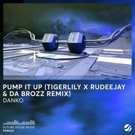 Album cover of Pump It Up (Tigerlily x Rudeejay & Da Brozz Remix)