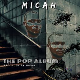 Album cover of The Pop Album