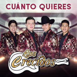 Album cover of Cuánto Quieres