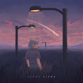 Album cover of Light Birds