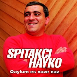 Album cover of Qaylum es naze naz