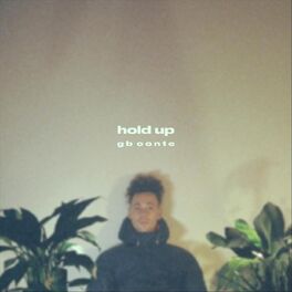 Album cover of Hold Up