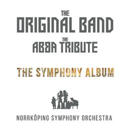Album cover of Abba Tribute