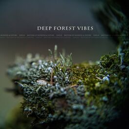 Album cover of Deep Forest Vibes (Remastered 2021)