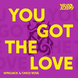Baixar You Got The Love - Never Sleeps feat Afrojack e Chico Rose