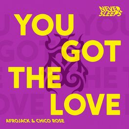 Album cover of You Got The Love