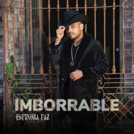 Album cover of Imborrable