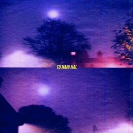 Album cover of Tu Nahi Hai.