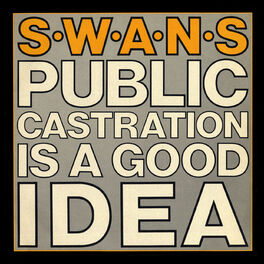 Album cover of Public Castration Is A Good Idea