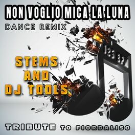 Album cover of Non voglio mica la luna : Dance Remix, Stems and DJ Tools, Tribute to Fiordaliso
