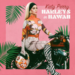 Album picture of Harleys In Hawaii