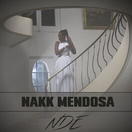 Album cover of NDE