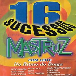 Album cover of 16 Sucessos Mastruz Com Leite (No Ritmo do Brega)