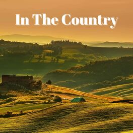 Album cover of In The Country