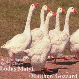 Album cover of Ludas Matyi
