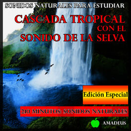 Album cover of Sonidos Naturales para Estudiar: Cascada Tropical Con el Sonido de la Selva: Edición Especial